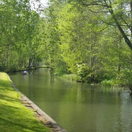 - Neue Harth 2 - Premium マルククレーベルク